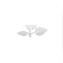 주변관광지